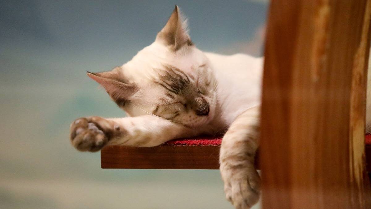    Фото: Артур Новосильцев / АГН Москва