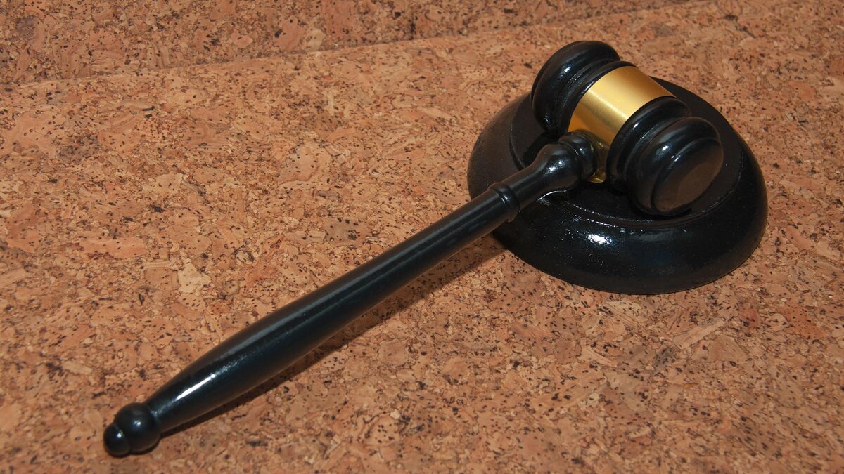    Фото: Svetlana Vozmilova/globallookpress.com