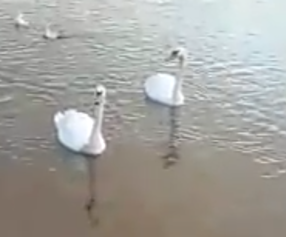 Сегодня настроение улучшенной во всём,не важно сквозь  радость или огорчение без сомнение он подарил мне мой забитый мною гол, сегодня настроение украшенный узором из лабиринта взглядом заставив улыбнуться  так вот где радость найдя сегодня вечер в прекрасном настроении