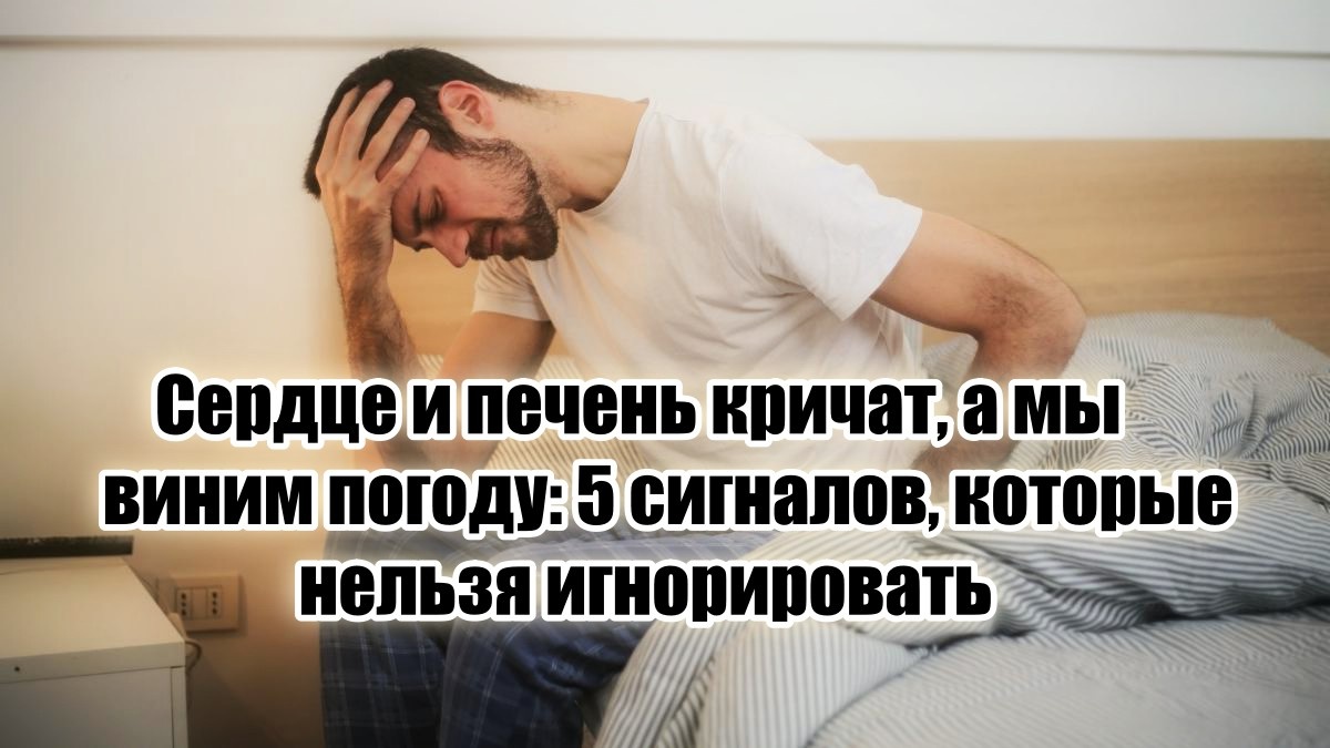 Это не просто страшилки – это реальные звоночки, которые могут спасти вам здоровье, а то и жизнь. Так что давайте разбираться.
