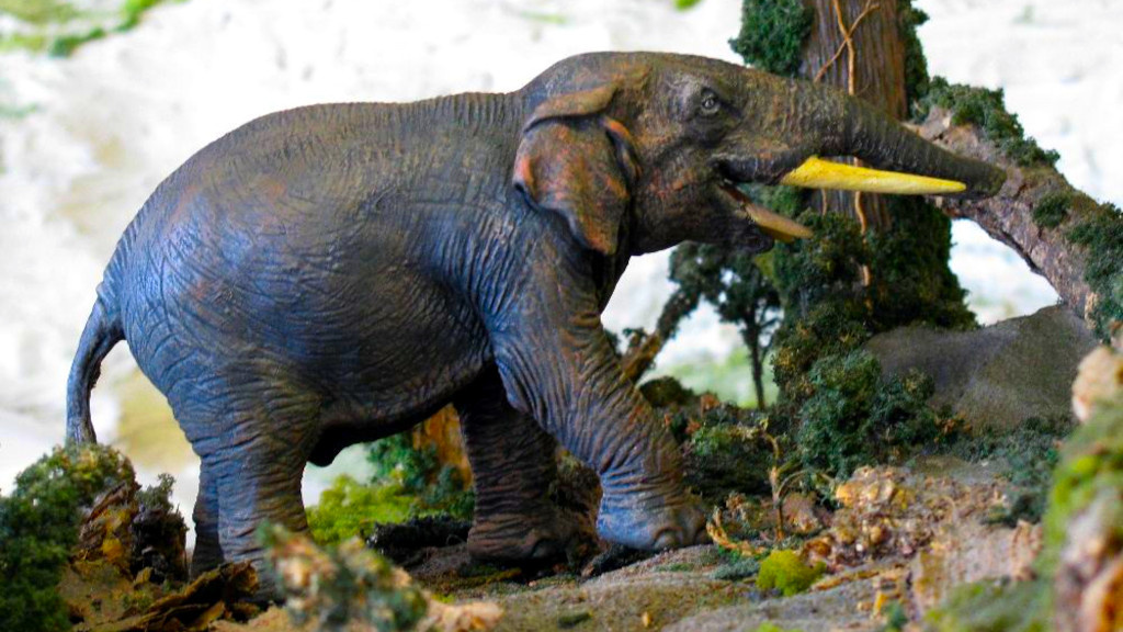 Первый слон, Primelephas, не сказать чтобы особенено впечатлял.