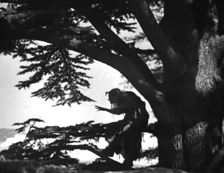 Баба Яга обитает в друмучем лесу. 