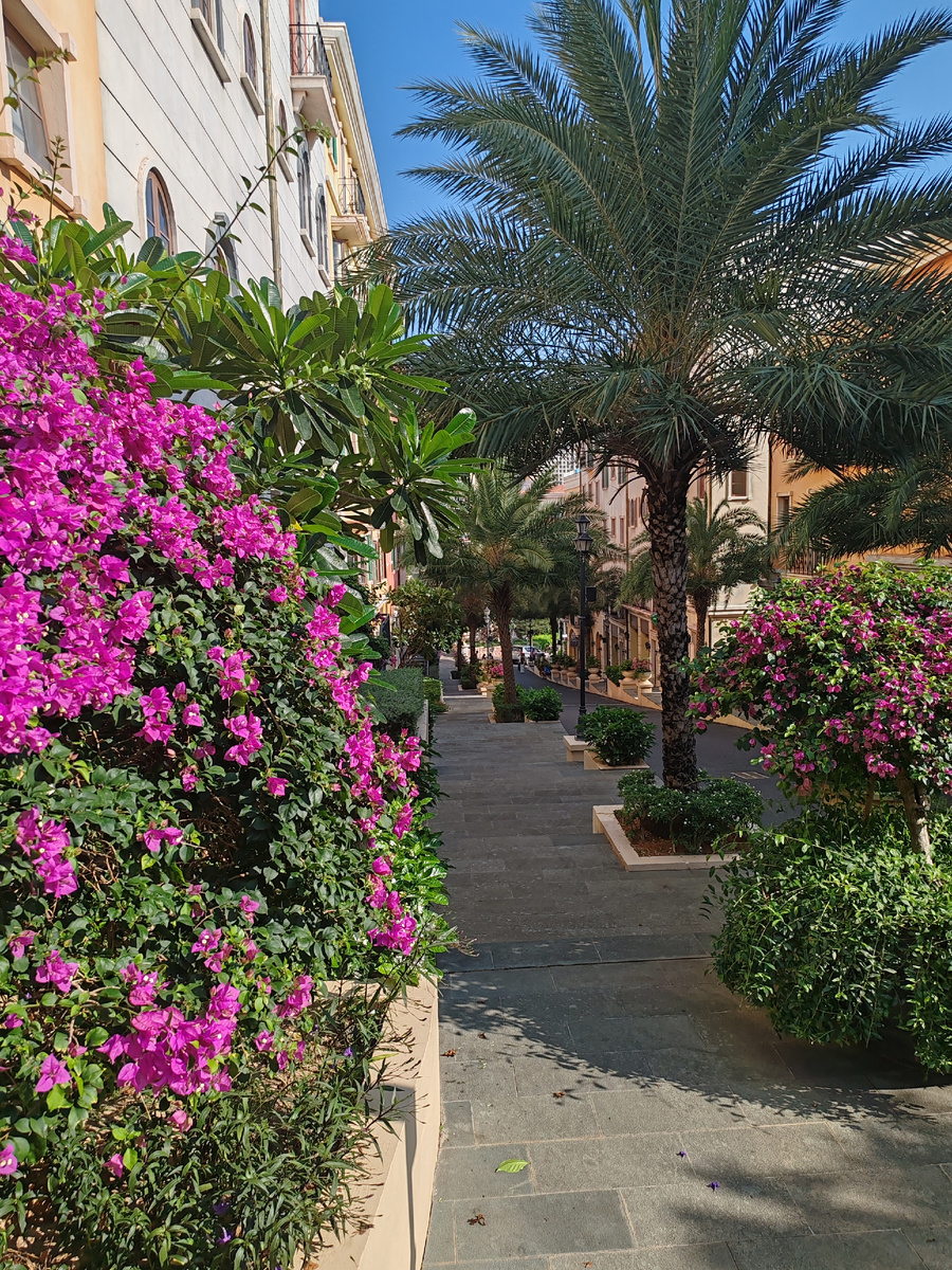 Вот такой Сансет