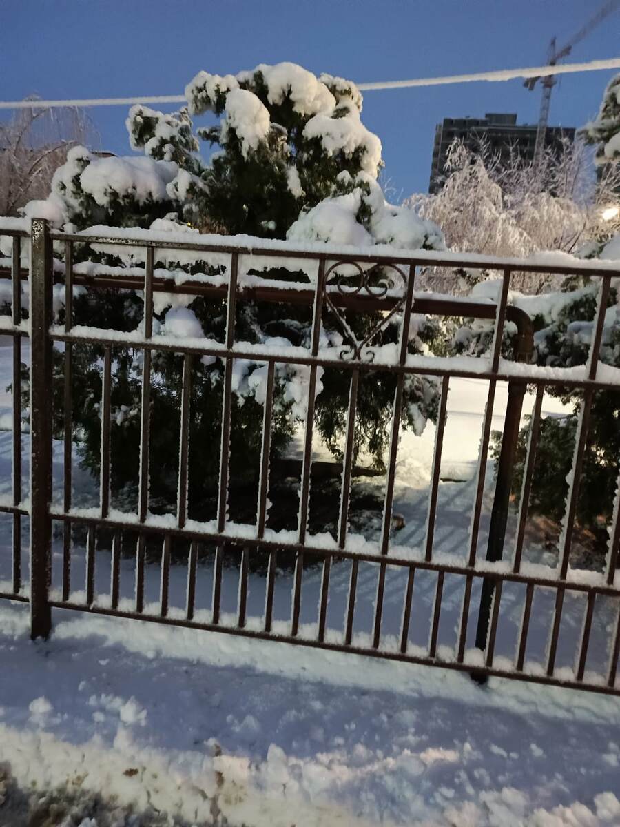 Фото автора 