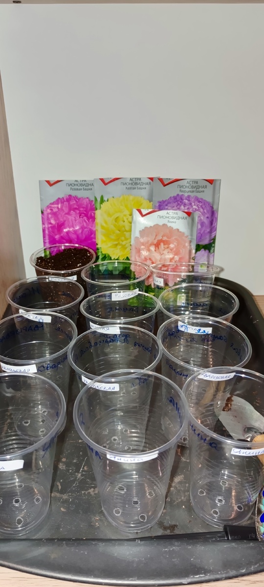 Подготовка