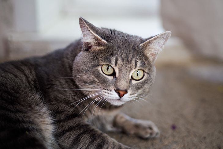    Фото Андрея Заржецкого