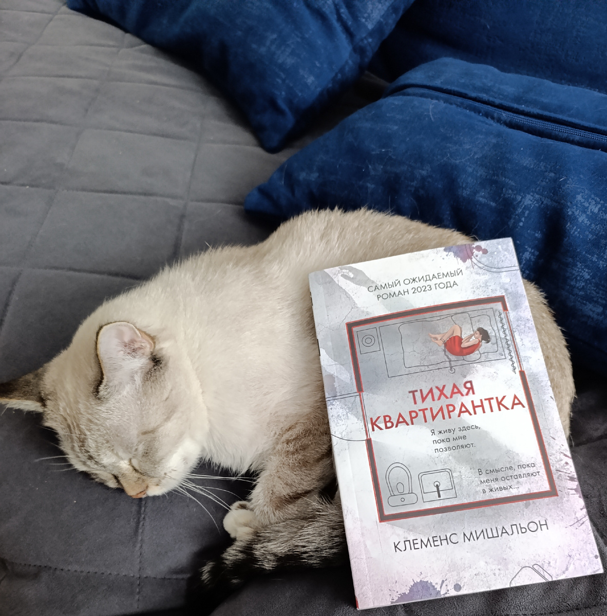 Сегодня читаемую книгу представляет мирно спящая Дженька.