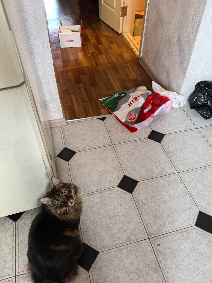 Что происходит то?