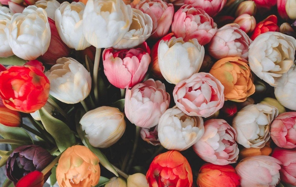 Фото: pinterest.com