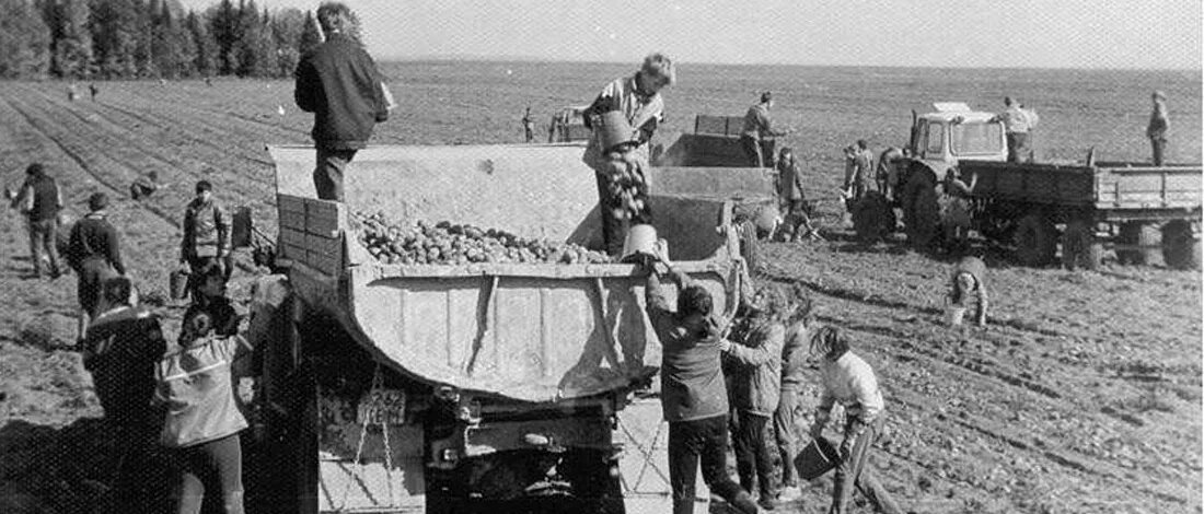 Помощь подшефным колхозам в СССР