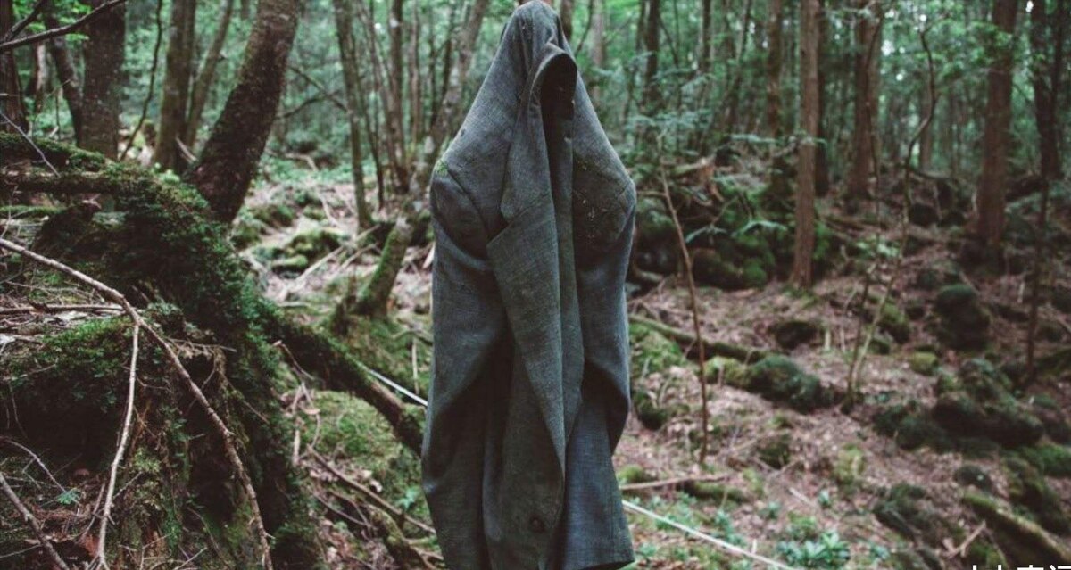 Аокигахара — лес к северо-западу от подножья горы Фудзи на японском острове Хонсю. Печально известна случаями множественных самоубийств среди подростков / © Flickr