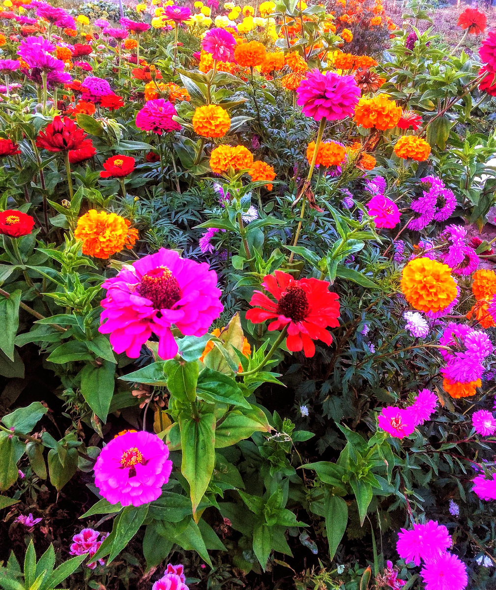 Скорее бы уже было вот так🙂?)