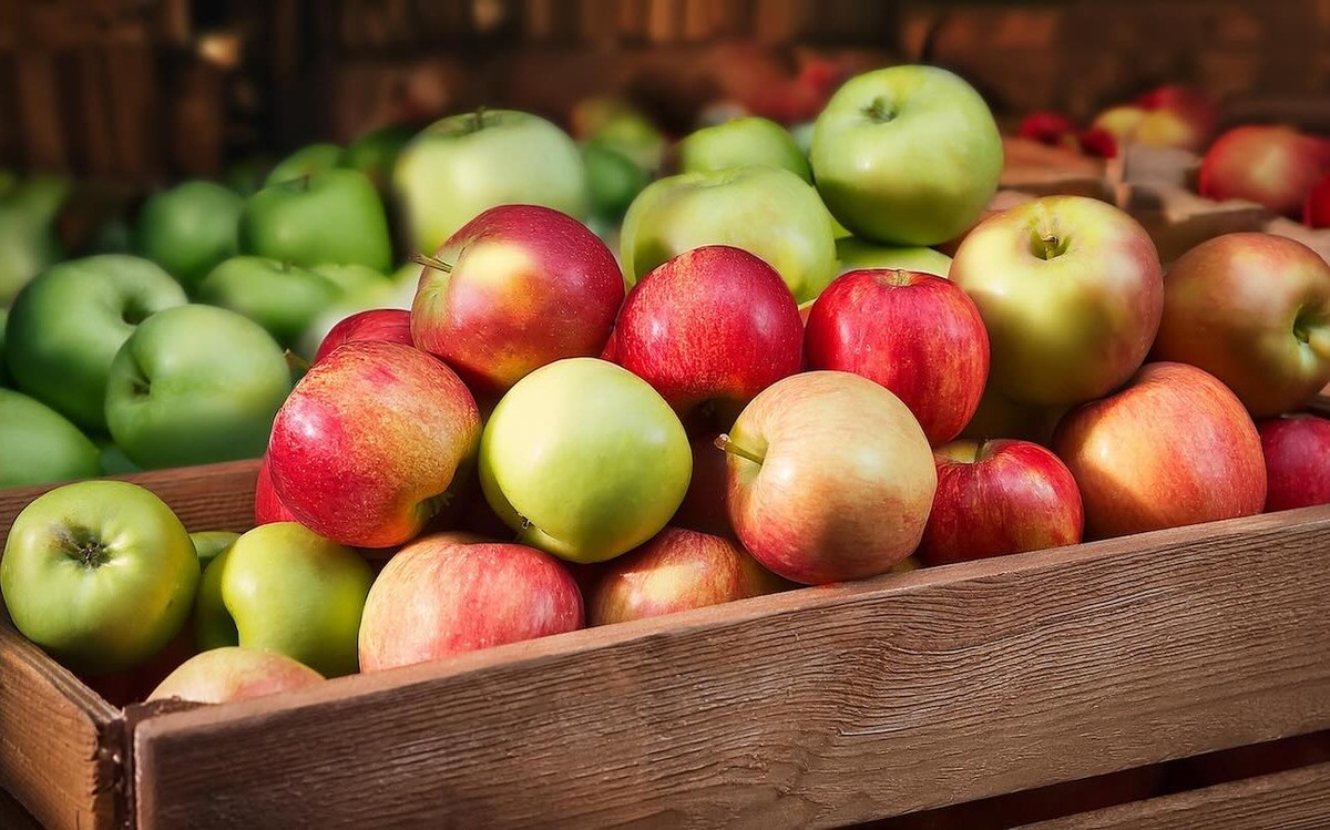 Яблоки будут как с ветки даже зимой: секрет длительного хранения плодов от опытных садоводов / Фото: Pogovorim.by
