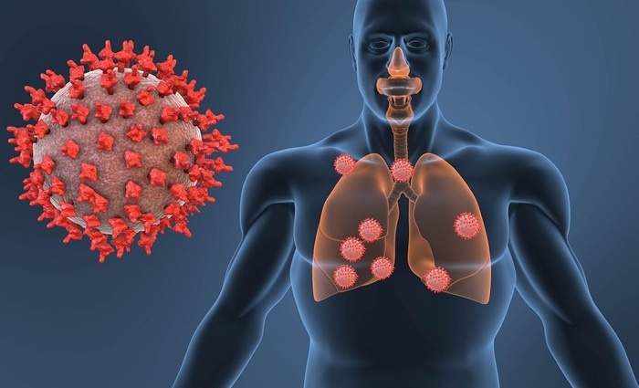   Метапневмовирус: нас ждет новая пандемия?