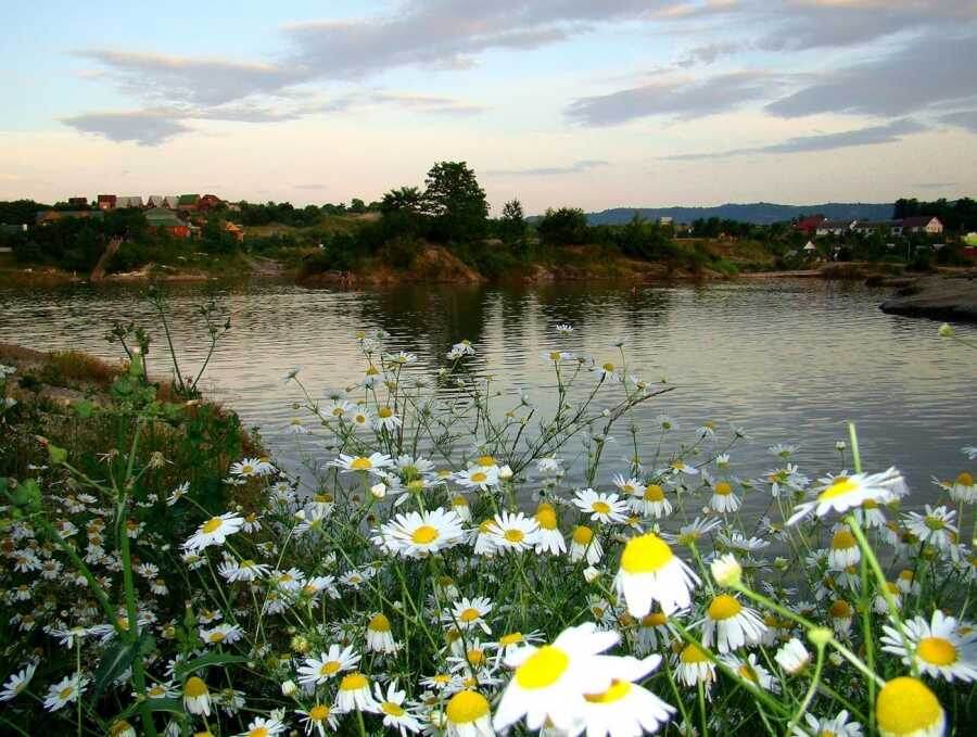 ходила сдедом на речку, на рыбалку