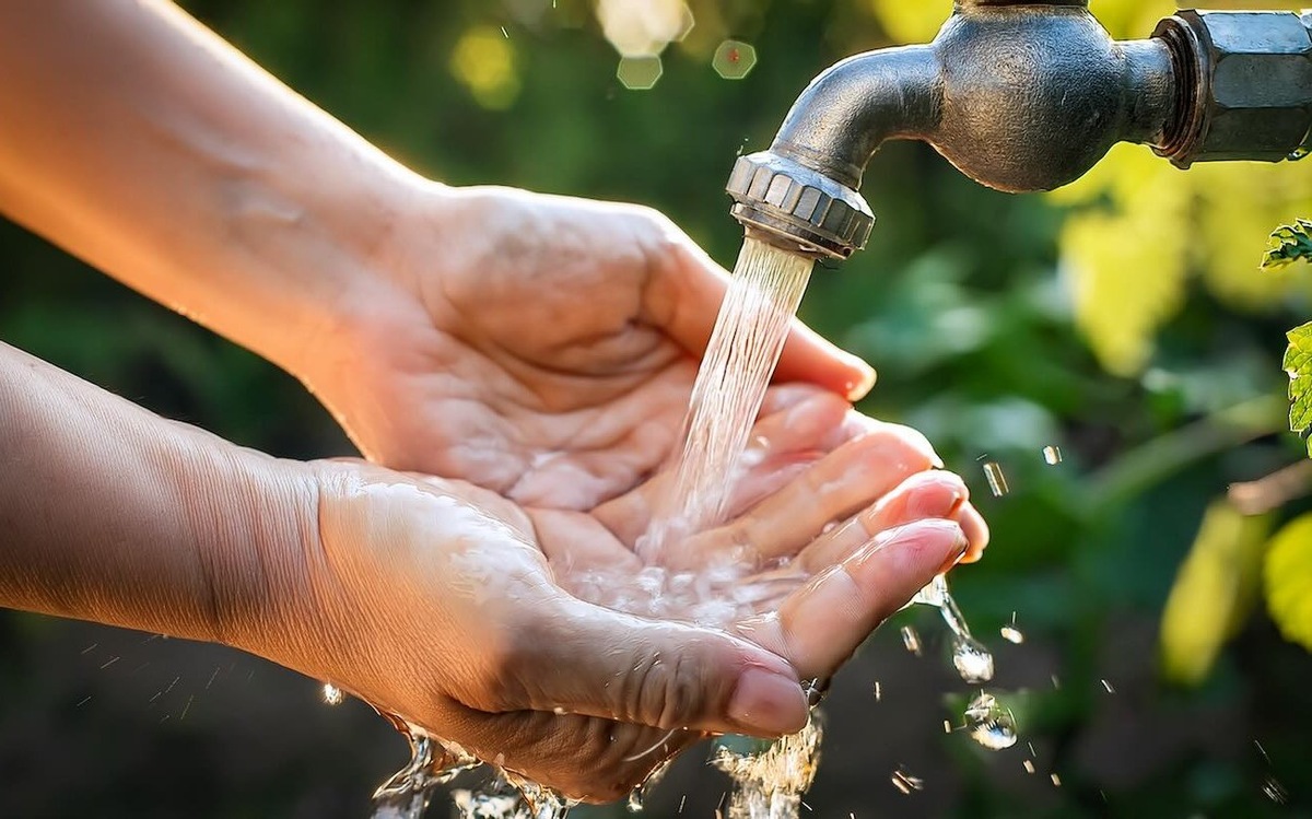 Руки после огорода отмоются за минуты: 4 простых способа вернуть чистоту / Фото: Pogovorim.by
