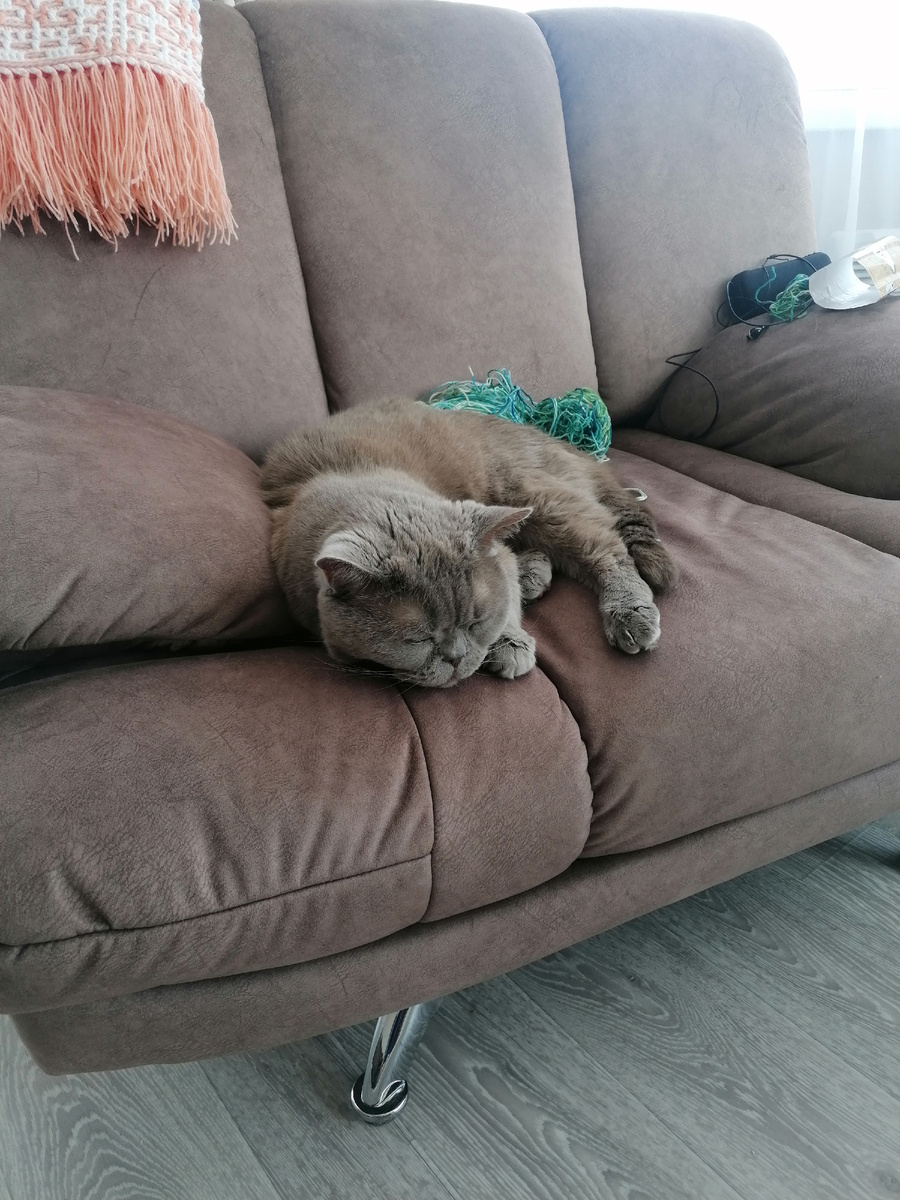 Фото автора.