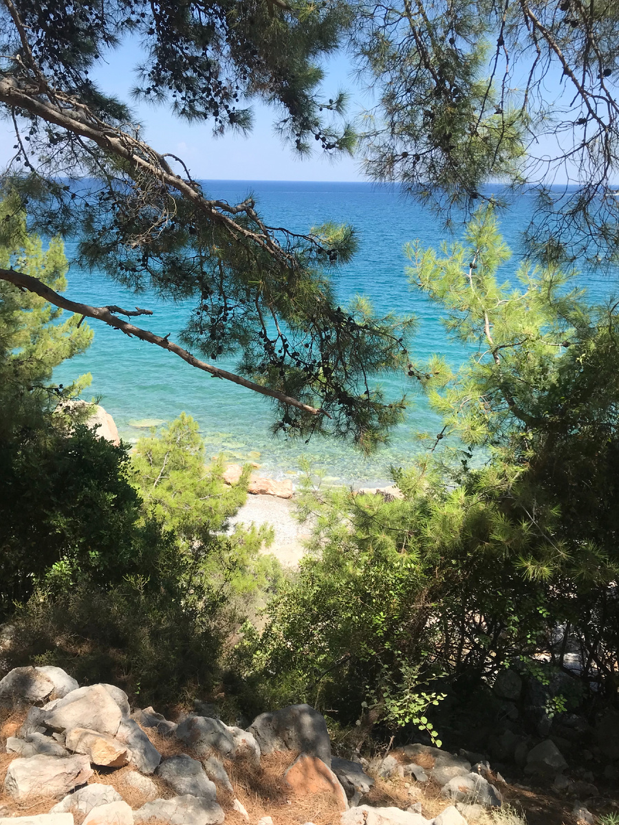 Тропинку легко увидеть при приближении к пляжу