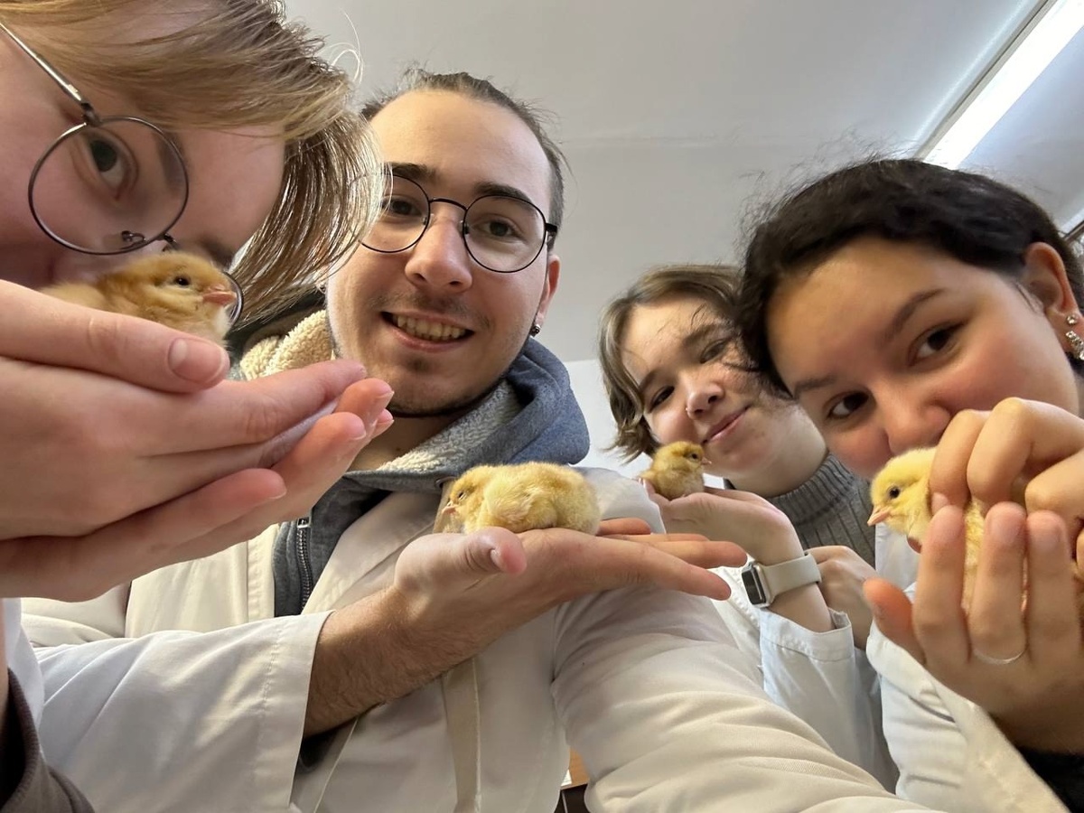 На паре со своими одногруппниками