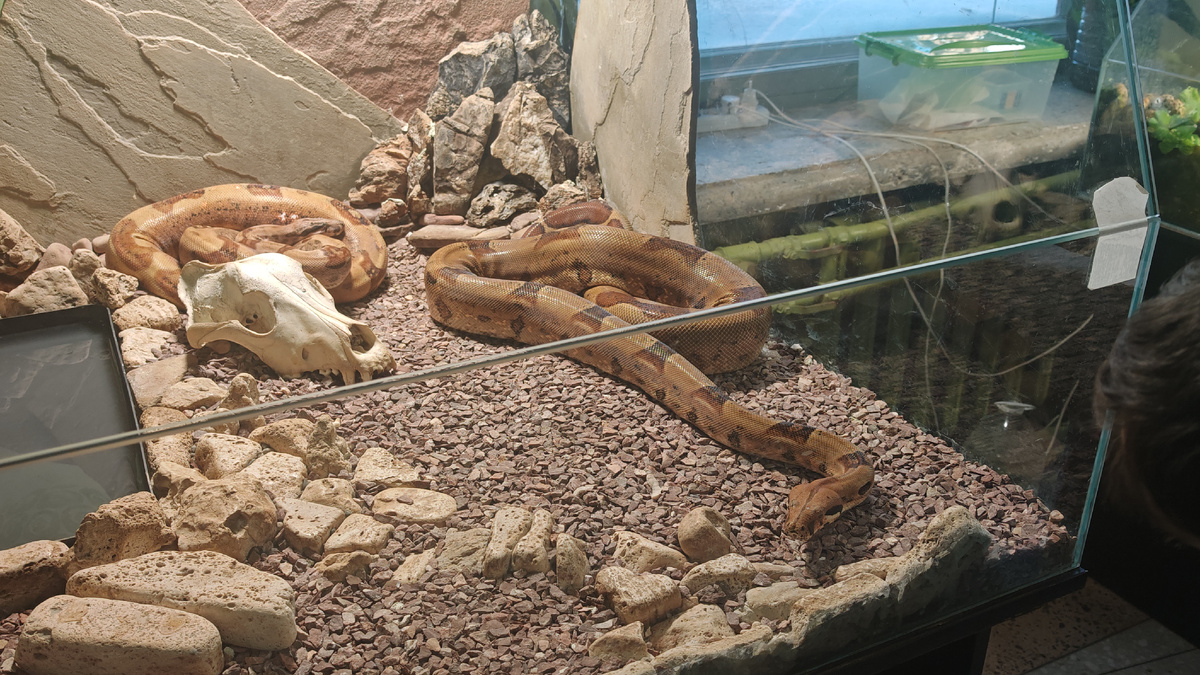 Непутёвые родители