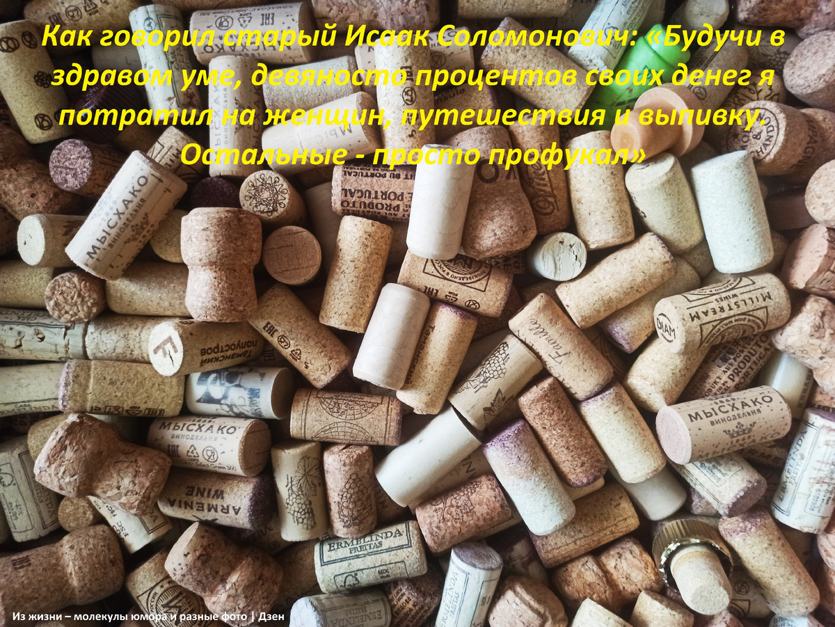 Из отчёта о прожитой жизни