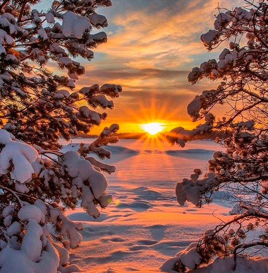 Солнце зимой, фото из открытых источников Интернета