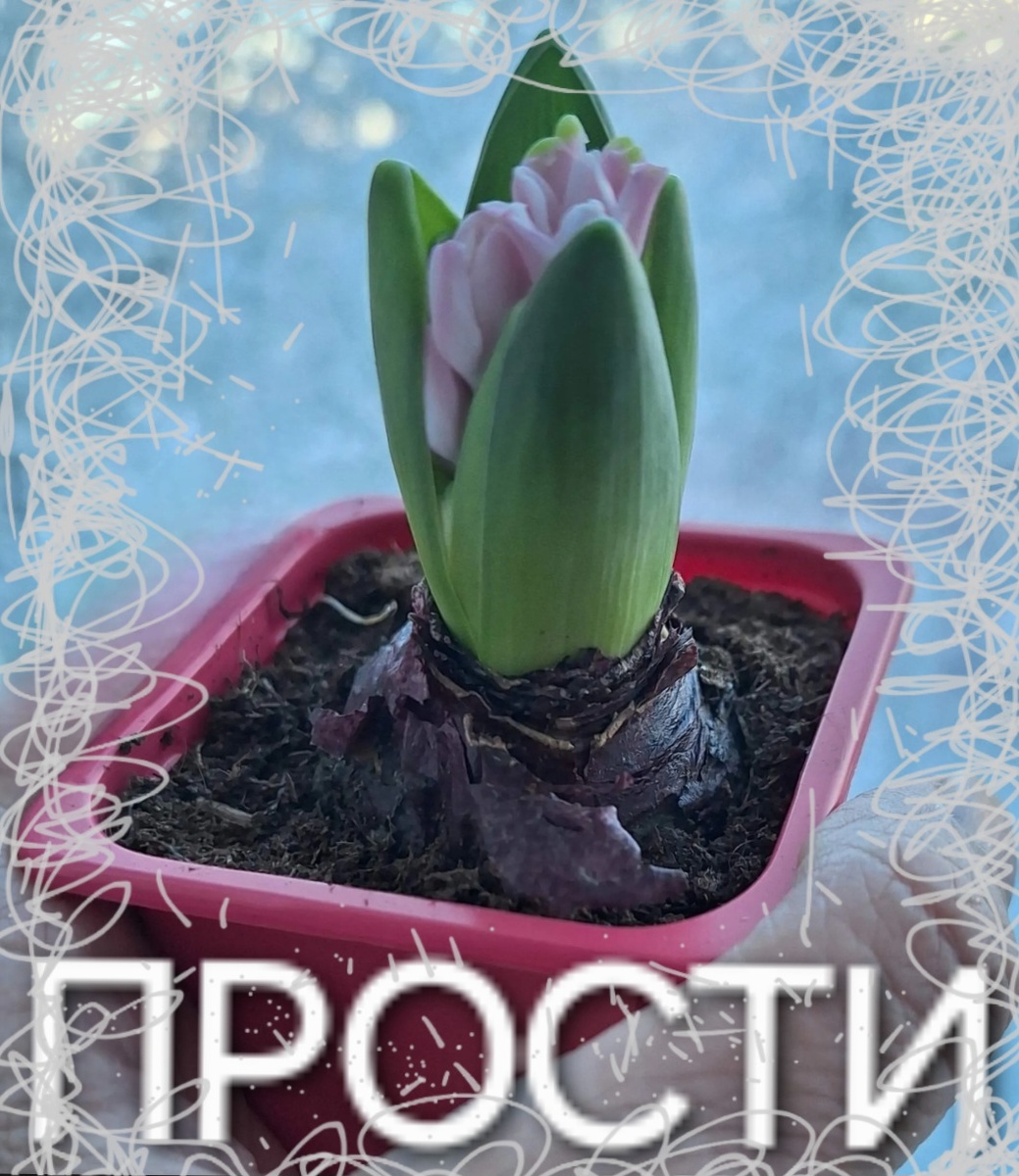 Коллаж - собственность автора канала.