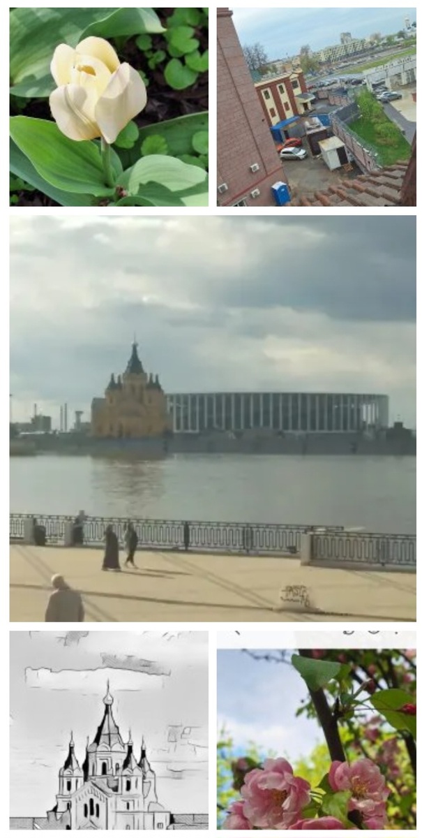 Коллаж - собственность автора канала.