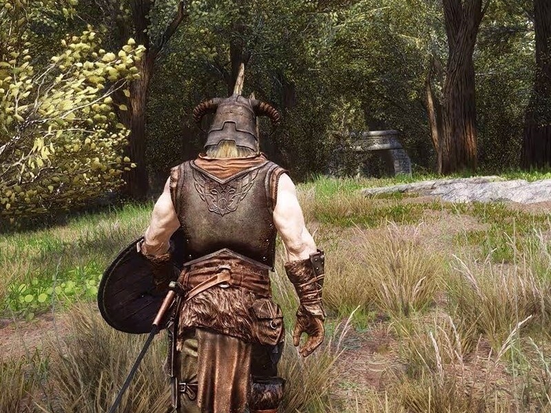    «Почему игра так тормозит?» Бабочки и муравьи сломали Skyrim прямо перед релизом