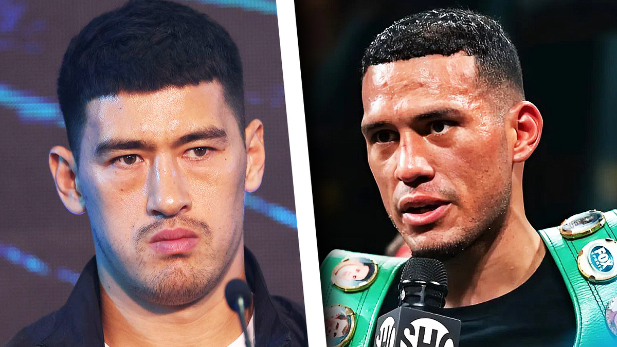 Дмитрий Бивол и Дэвид Бенавидес