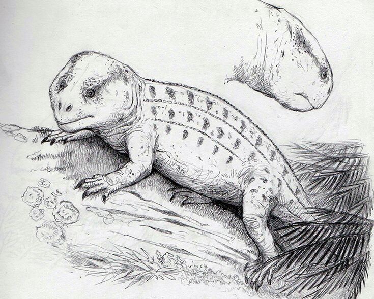 Некий ринхозавр.