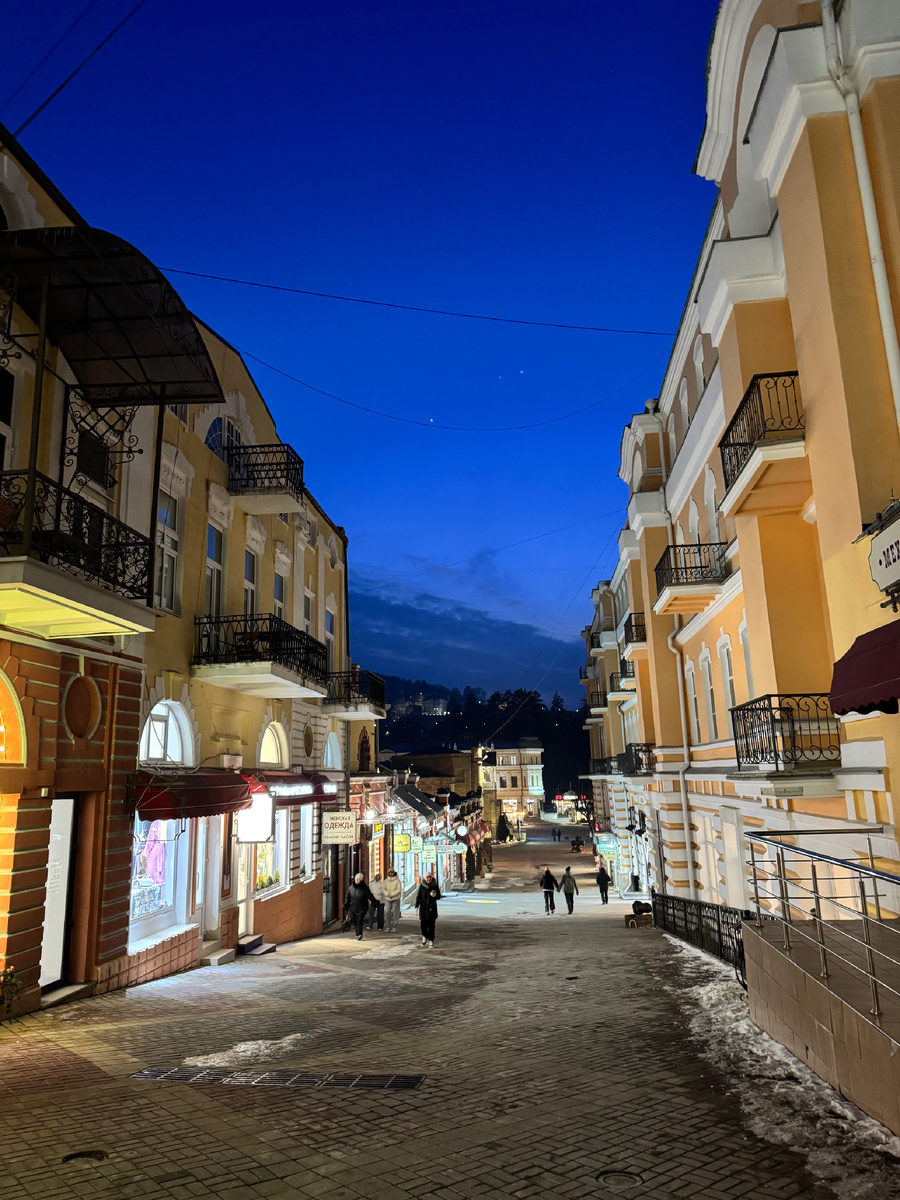 28.02.2025, пр.Карла Маркса, фото Сад в стиле Paradise @