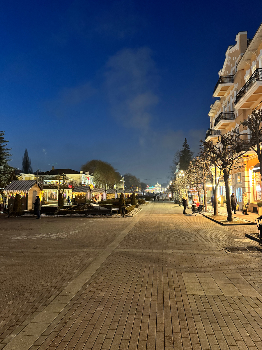 28.02.2025, Кукортный бульвар, фото Сад в стиле Paradise @