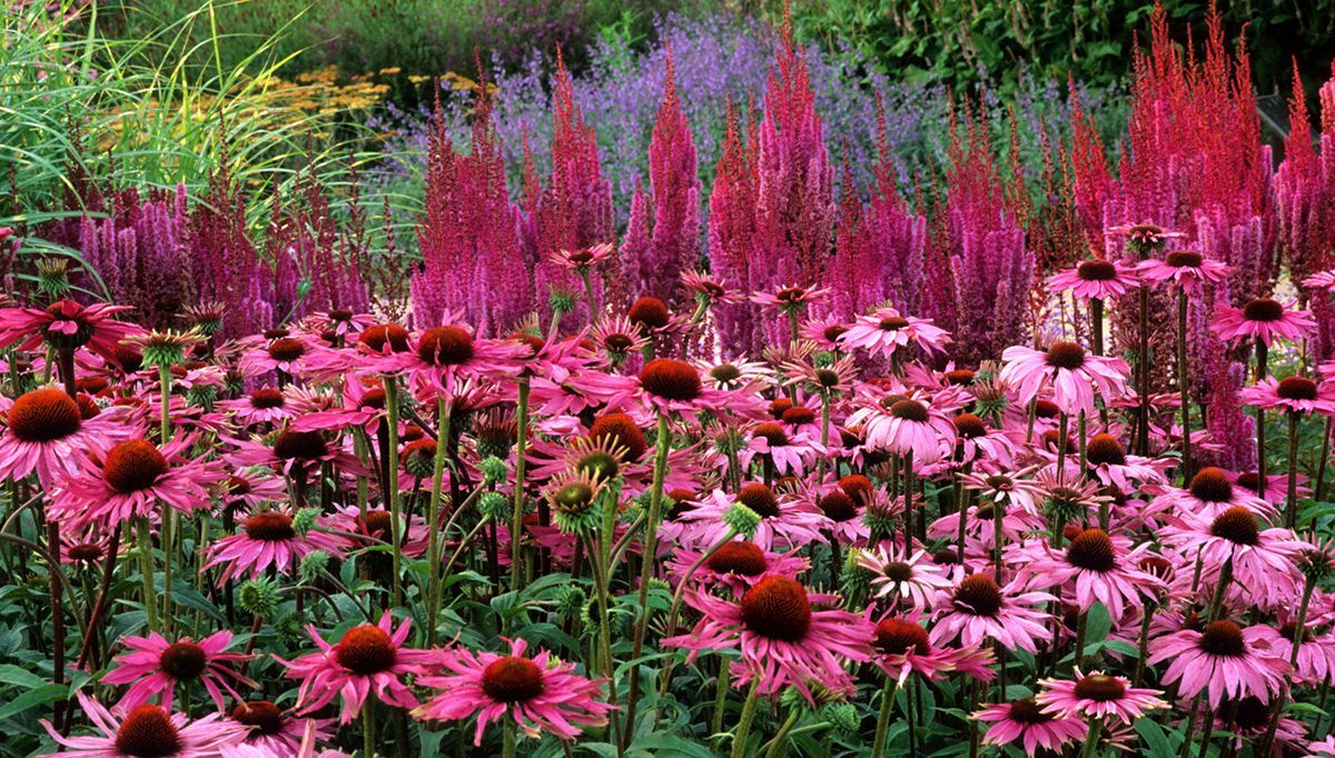 Яндекс.Картинки