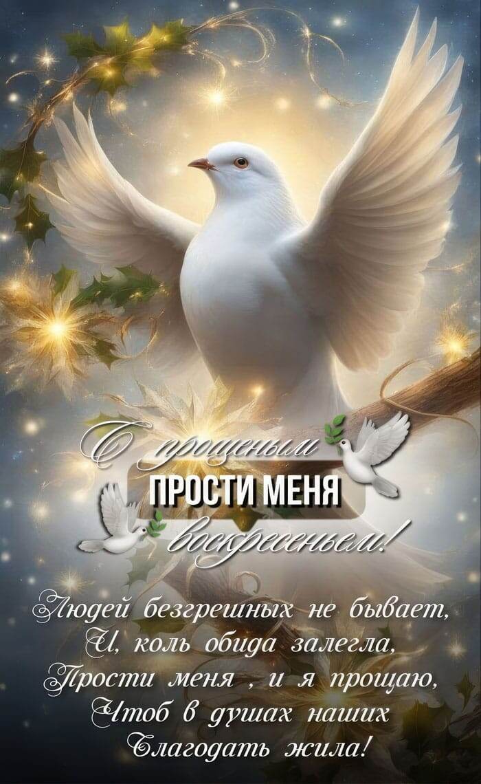 Вот такую прислали