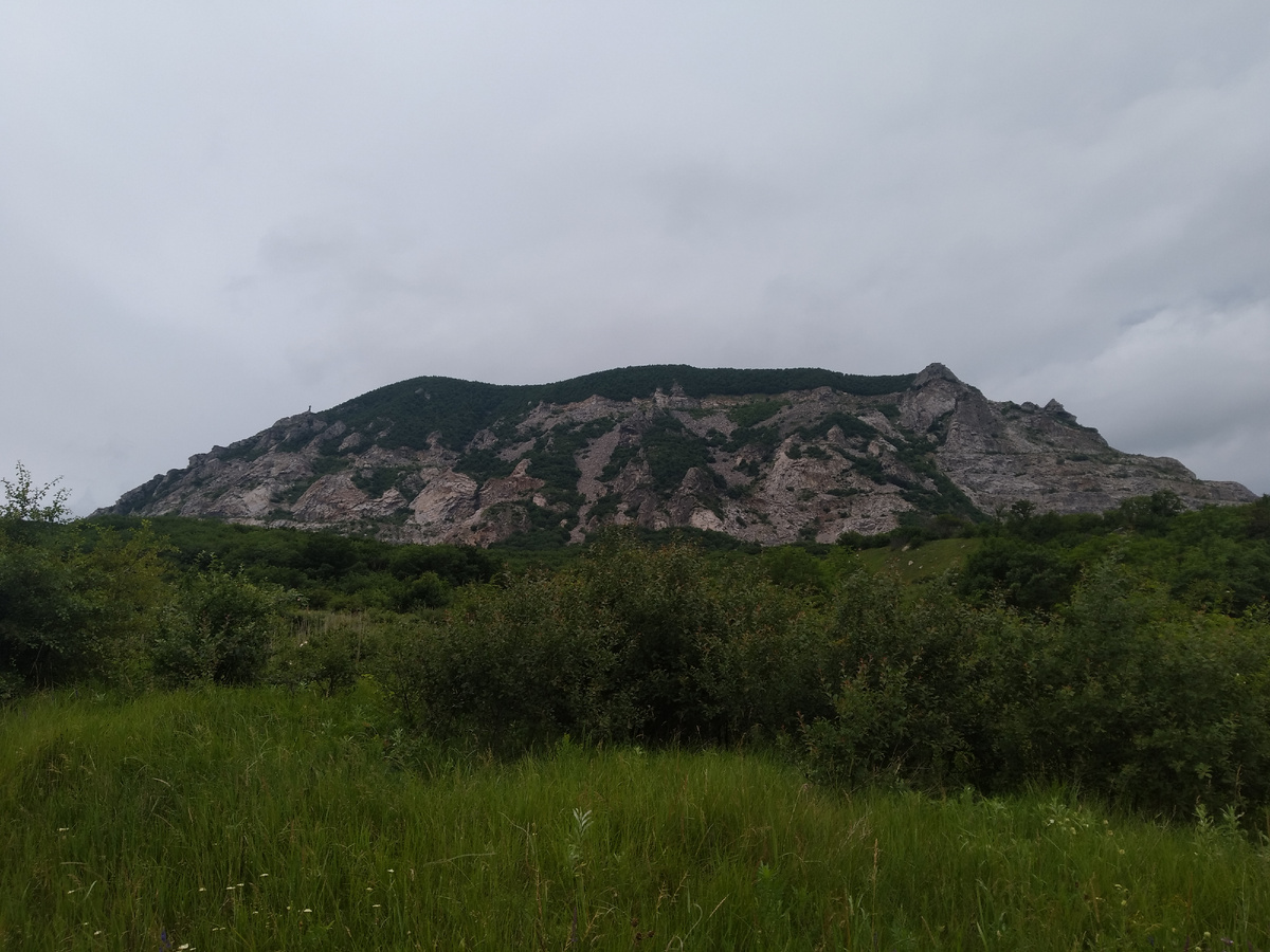 Горя Змейка