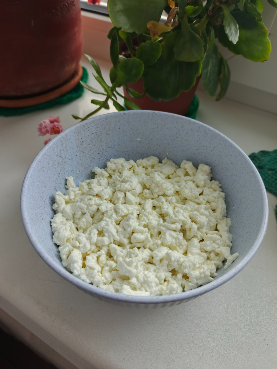 Творог из козьего молока (фото автора).