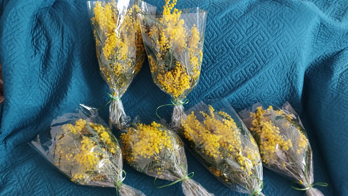 Фотография автора 