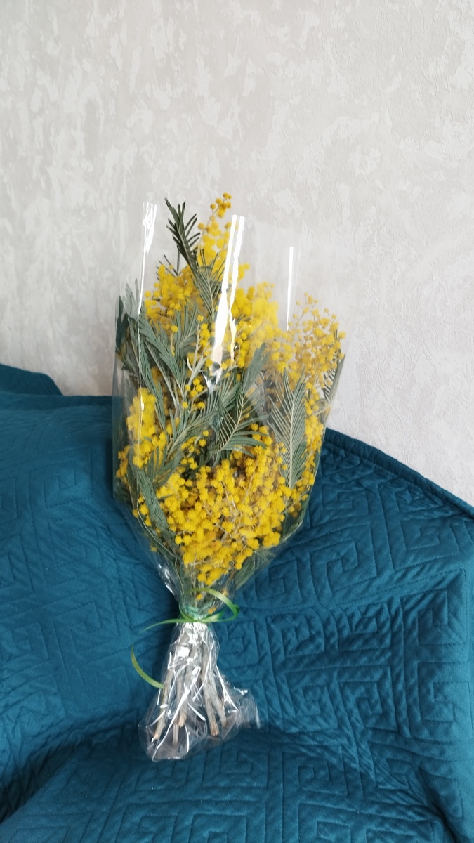 Фотография автора 