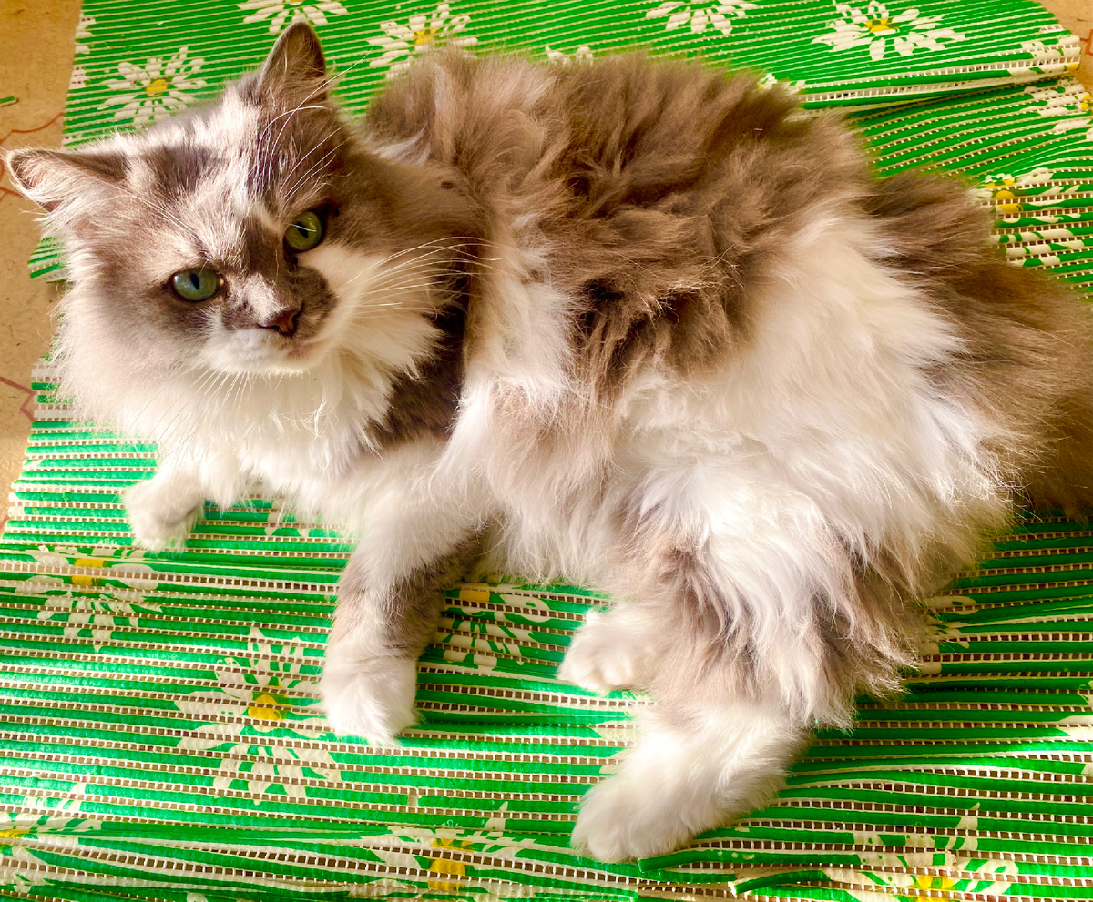 Это моя красотка!