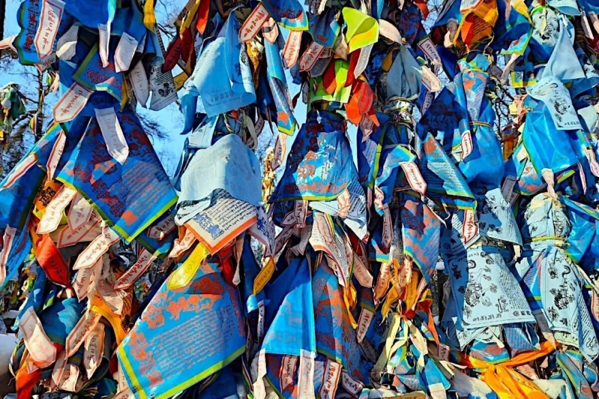    Ламы рассказали, как правильно притягивать удачу