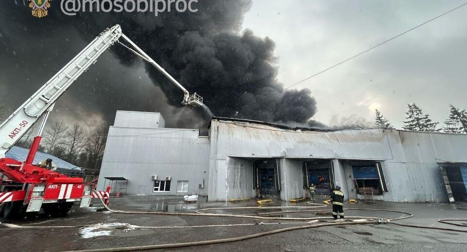    прокуратура Московской области / Telegram