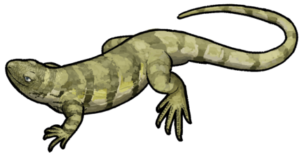 Восстановление внешнего вида.