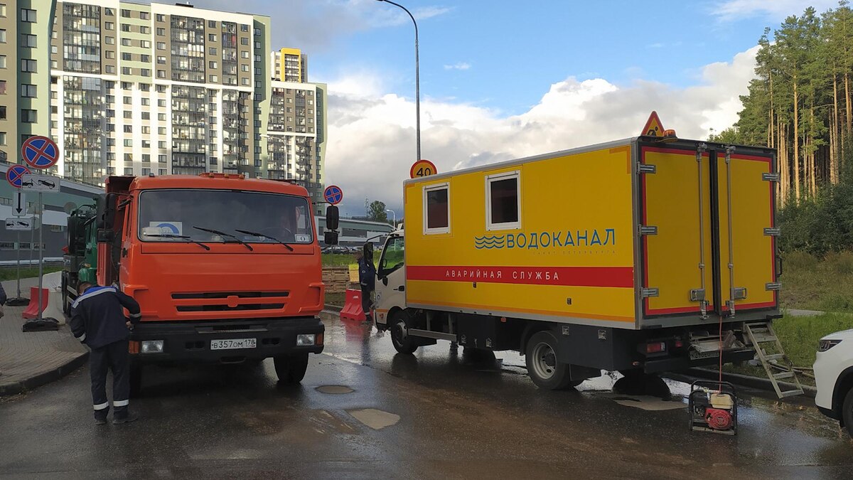    Фото: Maksim Konstantinov/globallookpress.com