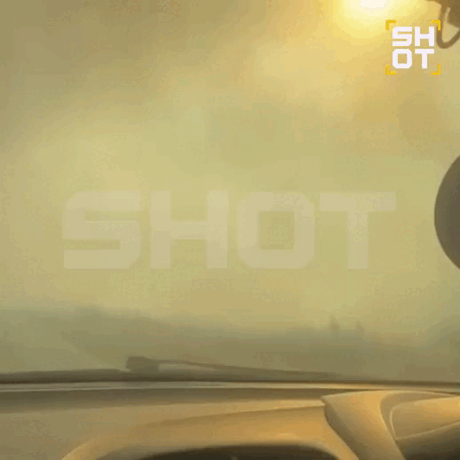    ВИДЕО: ТГ-КАНАЛА SHOT