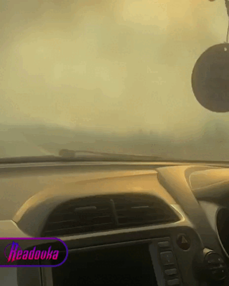    ВИДЕО: ТГ-КАНАЛА READOVKA