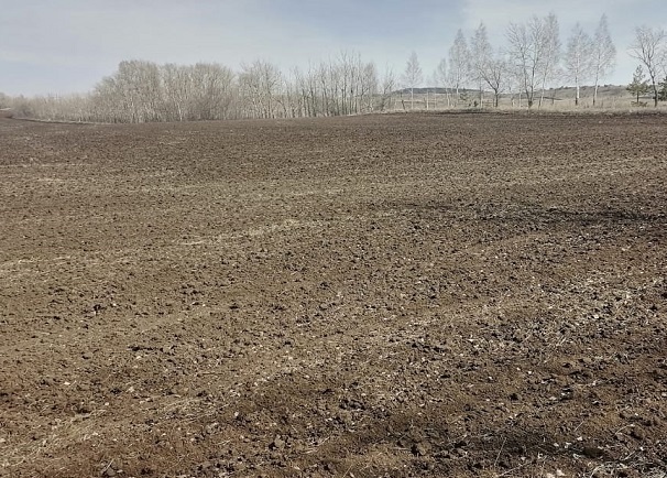 Фотография из личного архива автора