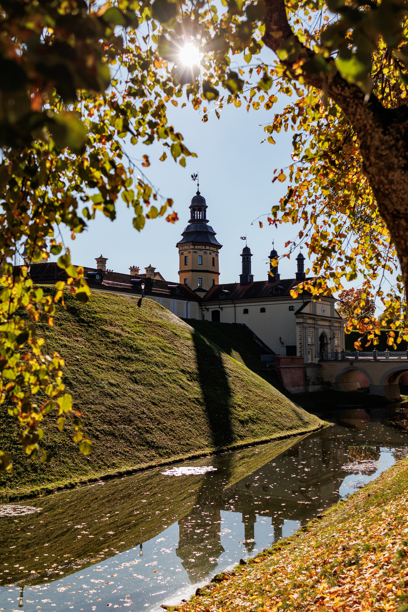 Несколько вертикальных кадров...