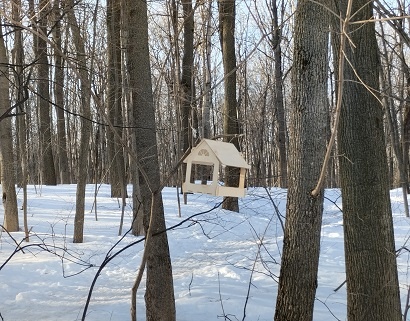 Фотография из личного архива автора