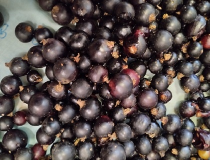 Фотография из личного архива автора